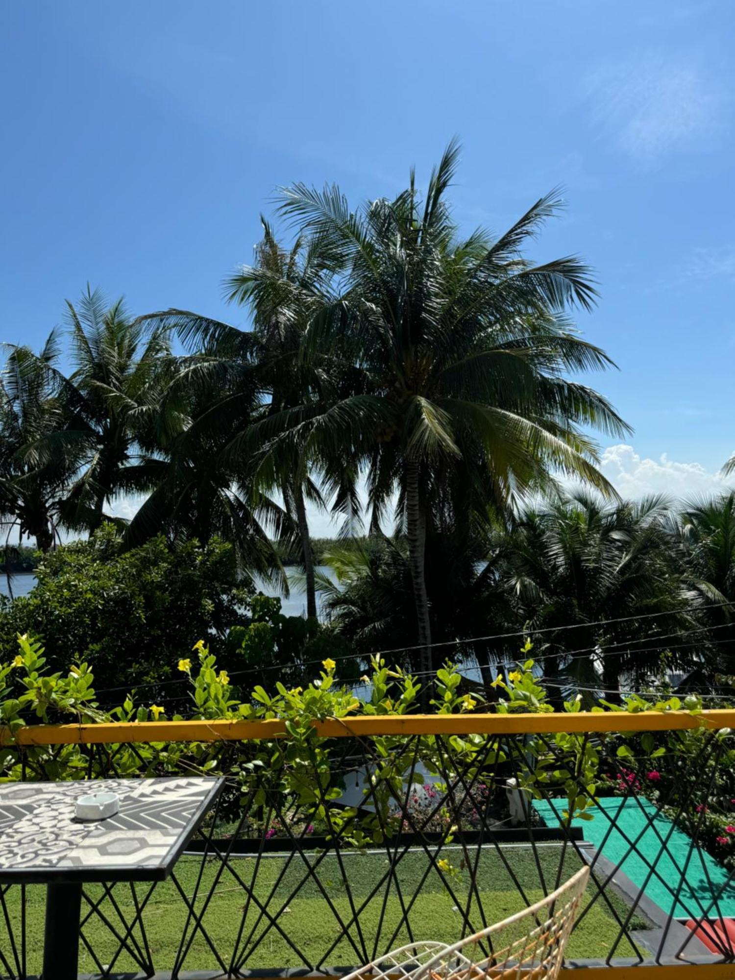 Coral Riverside Homestay & Hostel Hoi An Zewnętrze zdjęcie